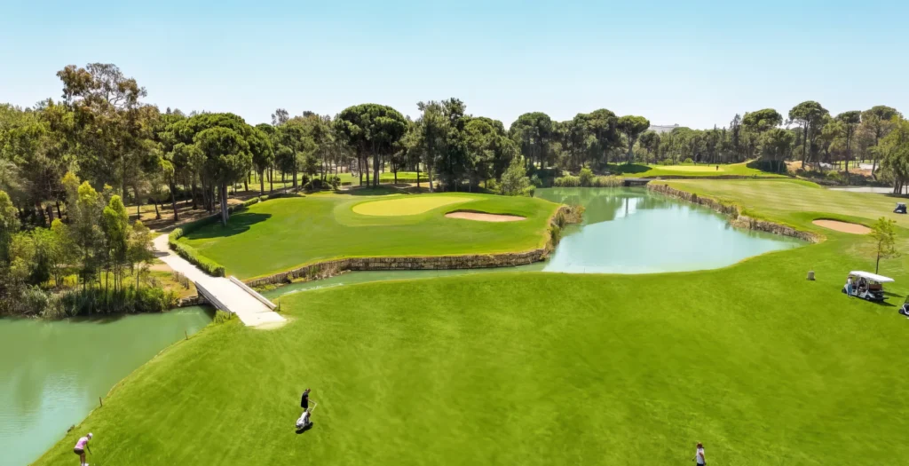 GGTC 2025: Where Amateur Golfers Shine